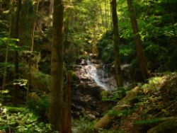 2013-07-20_Regina-F-Rau_Kochel-Rabenkopf (089).JPG